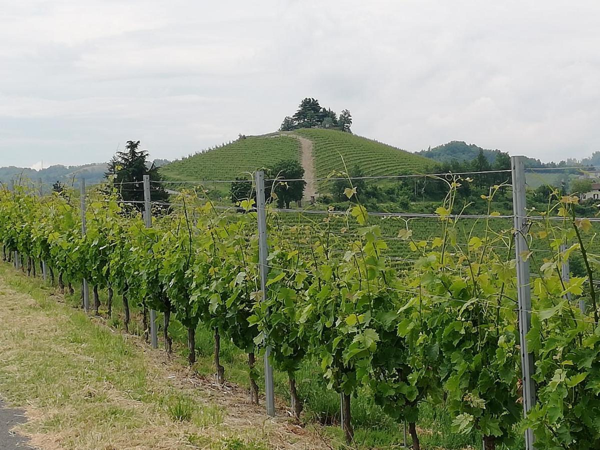 Calamandrana La Giribaldina Winery & Farmhouse מראה חיצוני תמונה