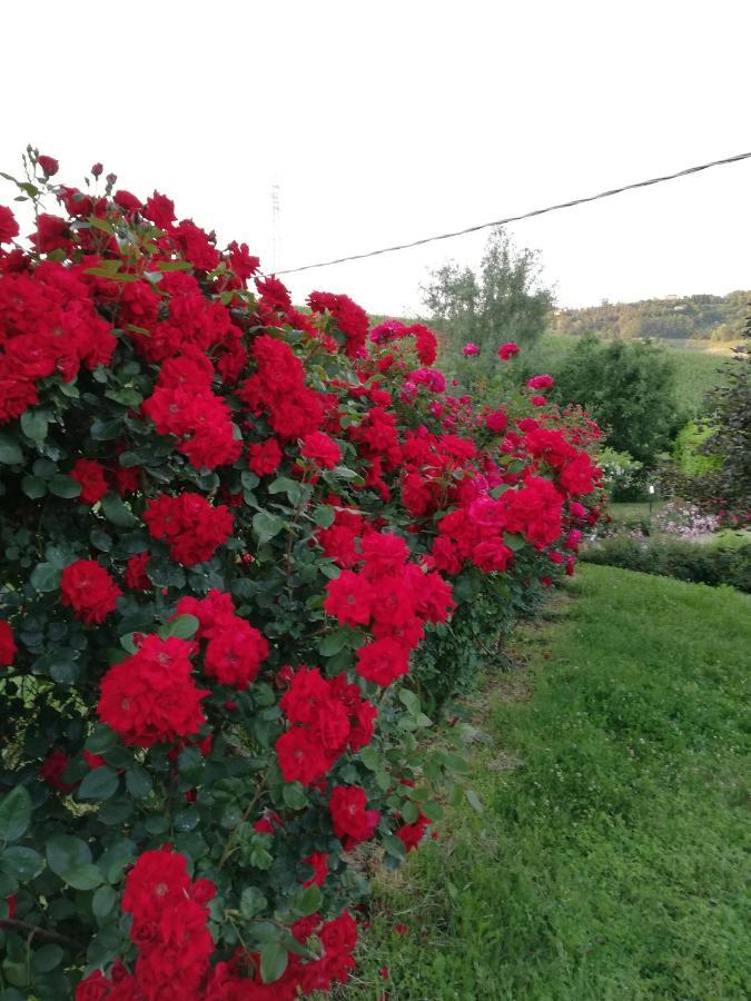 Calamandrana La Giribaldina Winery & Farmhouse מראה חיצוני תמונה