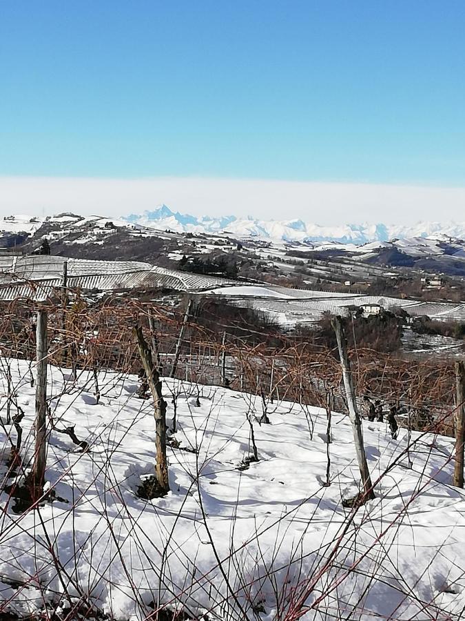 Calamandrana La Giribaldina Winery & Farmhouse מראה חיצוני תמונה